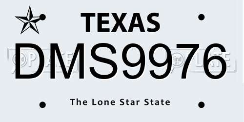 DMS9976 Texas License Plate