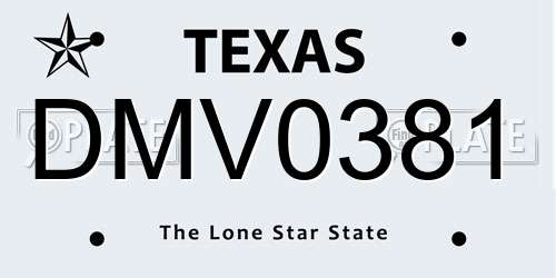 DMV0381 Texas License Plate