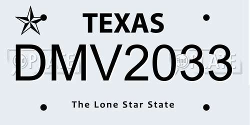 DMV2033 Texas License Plate