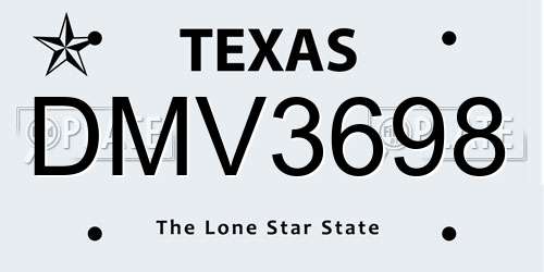 DMV3698 Texas License Plate