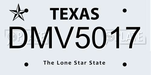 DMV5017 Texas License Plate