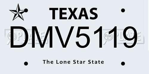 DMV5119 Texas License Plate