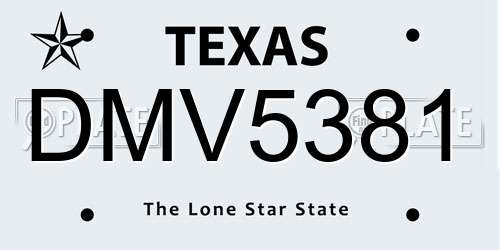 DMV5381 Texas License Plate