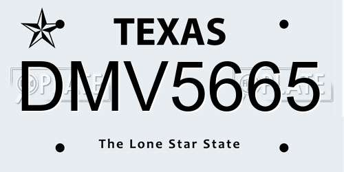 DMV5665 Texas License Plate