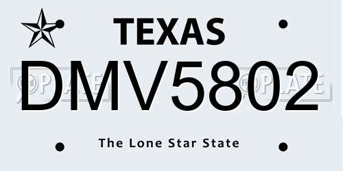 DMV5802 Texas License Plate
