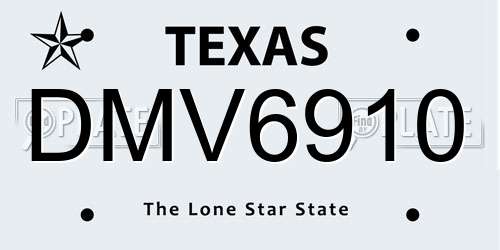 DMV6910 Texas License Plate