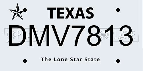 DMV7813 Texas License Plate