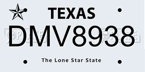 DMV8938 Texas License Plate