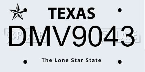 DMV9043 Texas License Plate