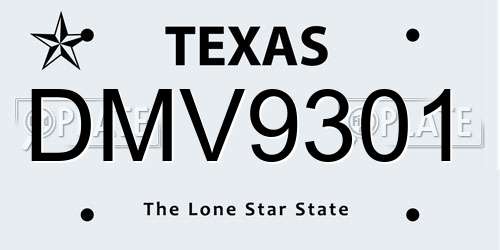 DMV9301 Texas License Plate
