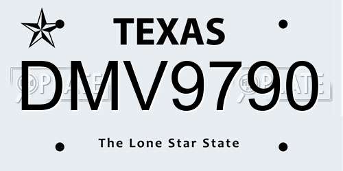 DMV9790 Texas License Plate