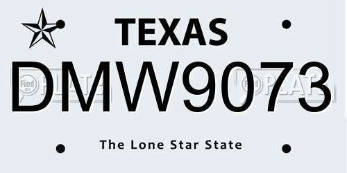 DMW9073 Texas License Plate