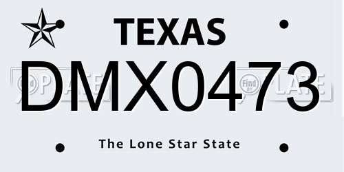 DMX0473 Texas License Plate