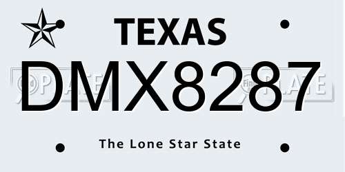 DMX8287 Texas License Plate