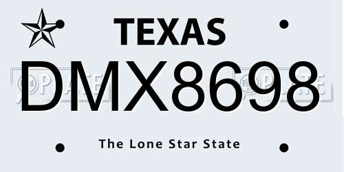 DMX8698 Texas License Plate
