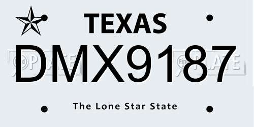 DMX9187 Texas License Plate