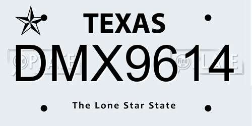 DMX9614 Texas License Plate