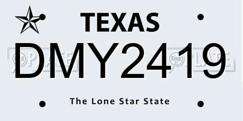 DMY2419 Texas License Plate