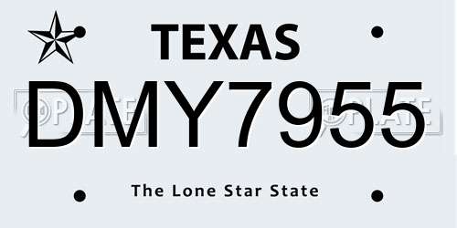 DMY7955 Texas License Plate