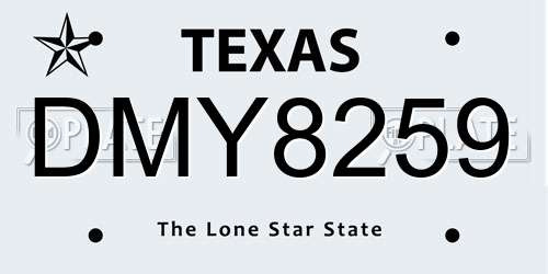 DMY8259 Texas License Plate