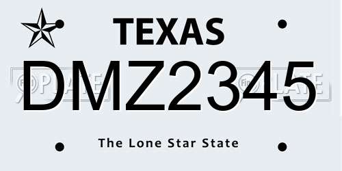 DMZ2345 Texas License Plate