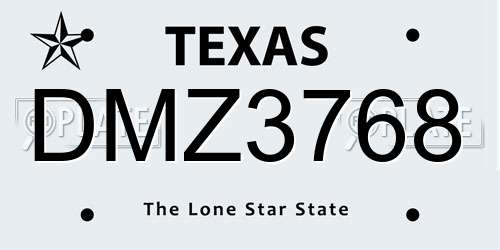 DMZ3768 Texas License Plate