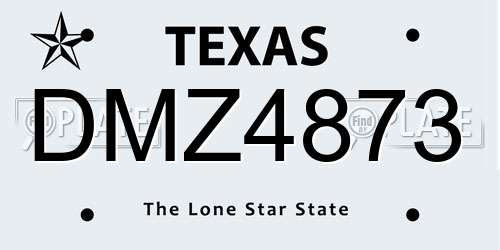 DMZ4873 Texas License Plate