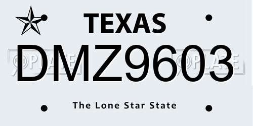 DMZ9603 Texas License Plate