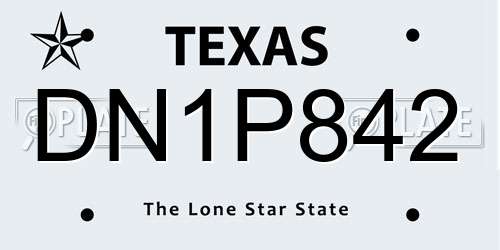 DN1P842 Texas License Plate