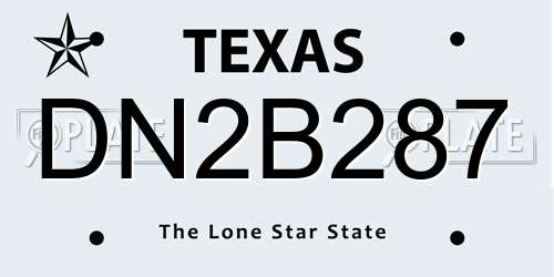 DN2B287 Texas License Plate