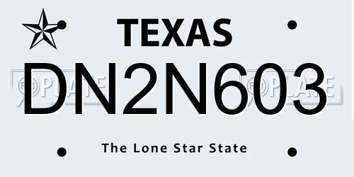 DN2N603 Texas License Plate