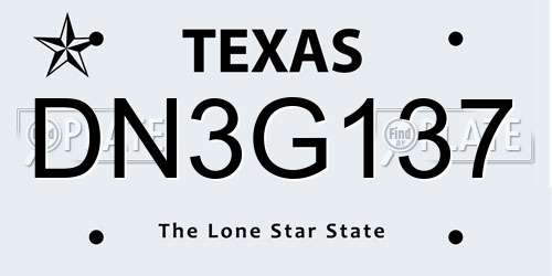 DN3G137 Texas License Plate
