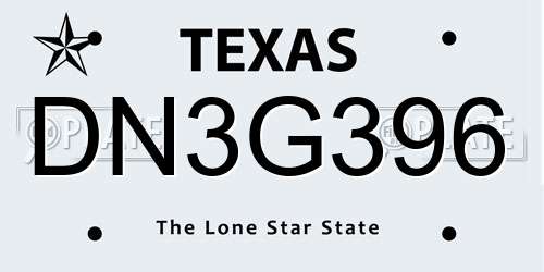 DN3G396 Texas License Plate