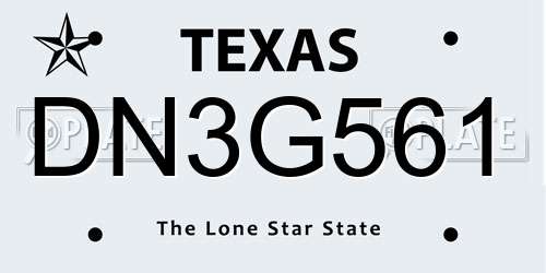 DN3G561 Texas License Plate