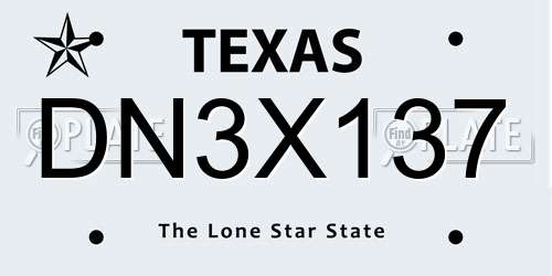 DN3X137 Texas License Plate
