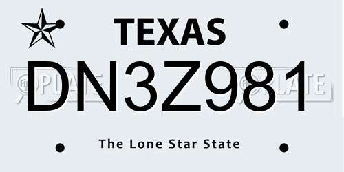 DN3Z981 Texas License Plate