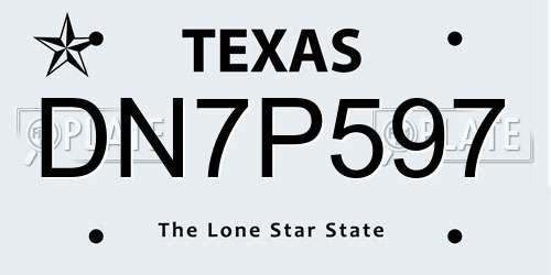 DN7P597 Texas License Plate