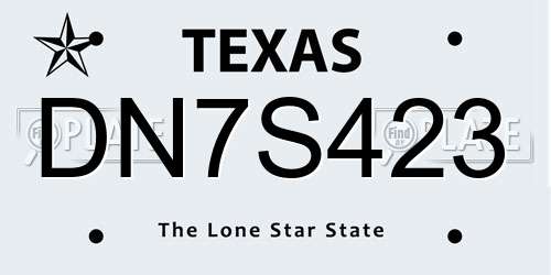 DN7S423 Texas License Plate
