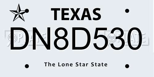 DN8D530 Texas License Plate