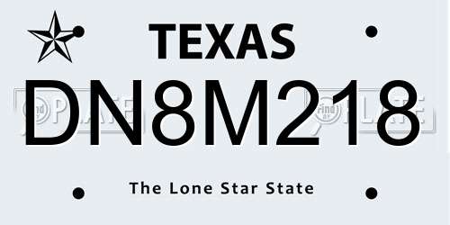 DN8M218 Texas License Plate