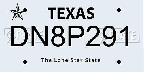 DN8P291 Texas License Plate