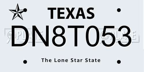 DN8T053 Texas License Plate