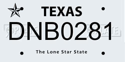 DNB0281 Texas License Plate