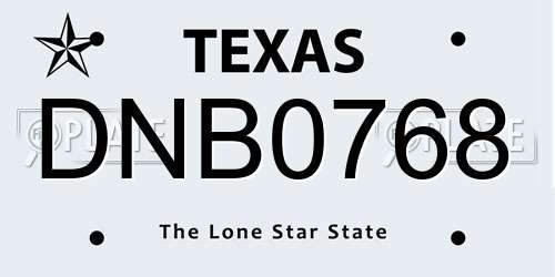 DNB0768 Texas License Plate