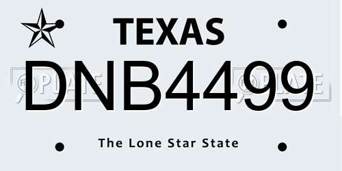 DNB4499 Texas License Plate