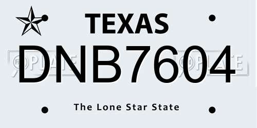 DNB7604 Texas License Plate