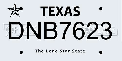 DNB7623 Texas License Plate