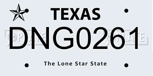 DNG0261 Texas License Plate