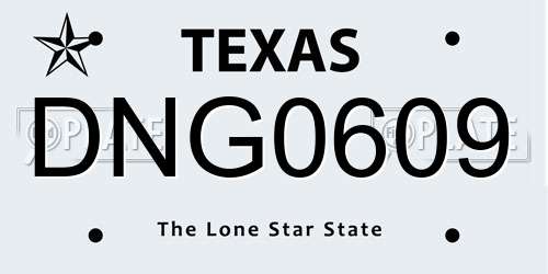 DNG0609 Texas License Plate