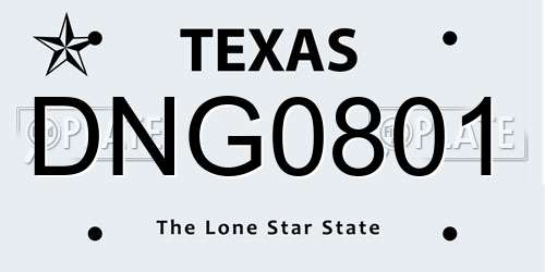DNG0801 Texas License Plate